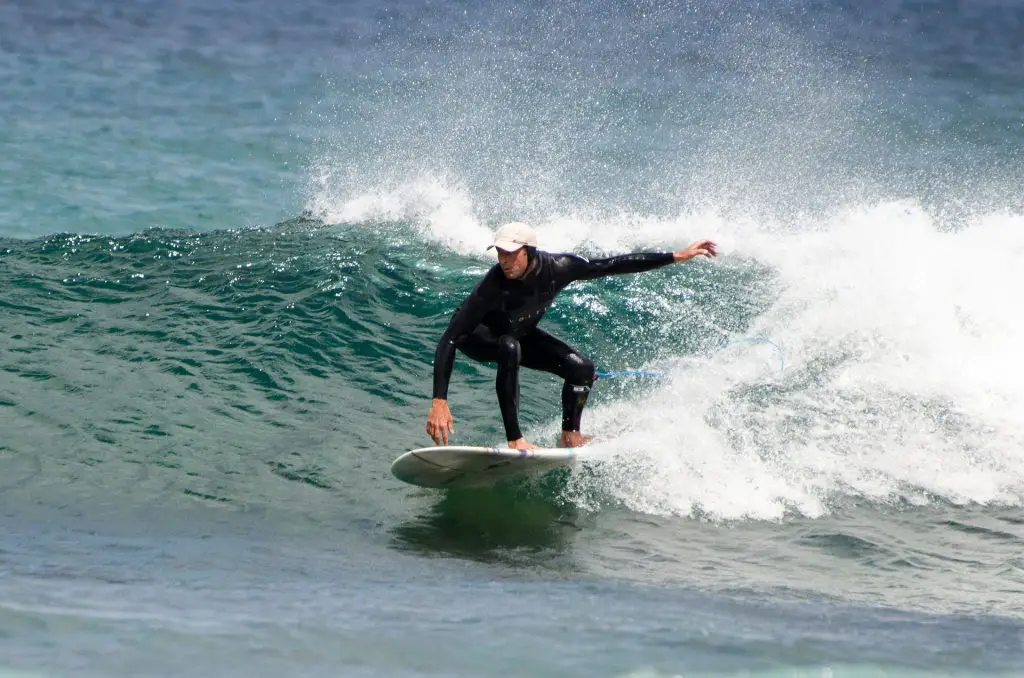 A surfer longboarding on a small wave